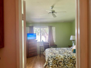 Vineyard Vista Suite with TV and private bathroom